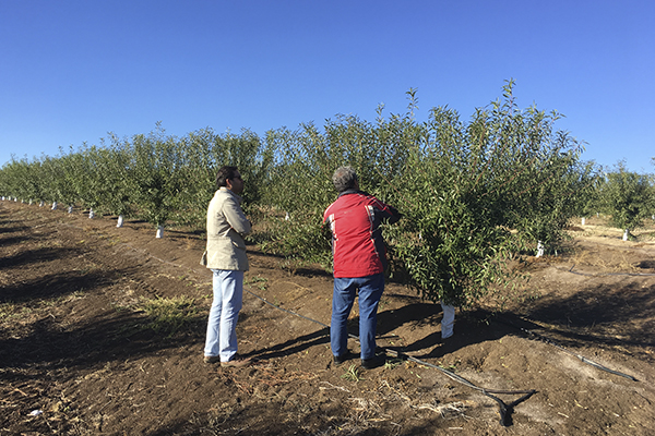 asesoramiento personalizado el vivero de abel